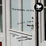 Christian Trondheim Voices & Wallumrod Vinyl Gjest Song