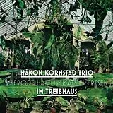 Kornstad,Hkon Vinyl Im Treibhaus (Vinyl)