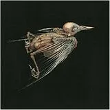 Jenny Hval & Susanna CD Meshes Of Voice