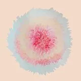 Rustad,Signe Marie Vinyl When Words Flew Freely