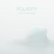 Polarity-An Acoustic Jazz Project