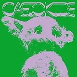 Casiokids Vinyl Tid For Hjem