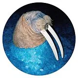 Tross Vinyl The Walrus Ep