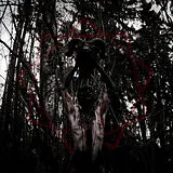 This Gift Is A Curse Vinyl I Gvlt Bearer