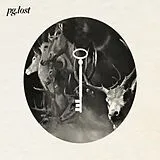 Pg. Lost Vinyl key