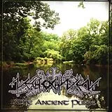Nechochwen CD Ancient Pulse