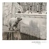Julien Marchal CD Insight Ii