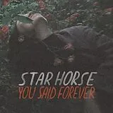 Star Horse Vinyl You Said Forever