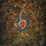 Iterum Nata CD Trench Of Loneliness