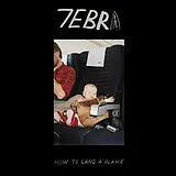 7ebra Vinyl How To Land A Plane