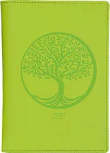 Agenden Jahr BIELLA Planer Istanbul 2027 855715310027U 1M/2S hellgrün ML 10.6x15.3cm von