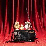 Audio CD (CD/SACD) Holderadio von