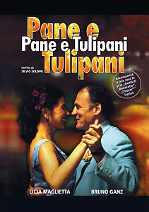 Pane E Tulipane (f) DVD