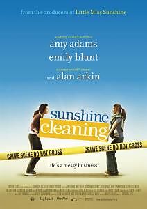 Sunshine Cleaning DVD
