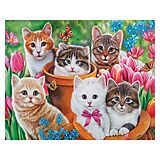 Diamond Painting Cats 2 45 x 55 cm Spiel