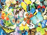 Diamond Painting Butterflies 40 x 30 cm Spiel