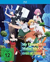 My Unique Skill Makes Me OP even at Level 1 - The Complete Season - Gesamtausgabe BLU-RAY