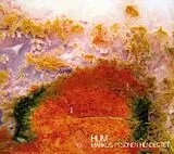 Markus Pesonen Hendectet CD HUM