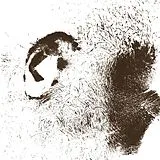 Fell,Terry Vinyl Peiden
