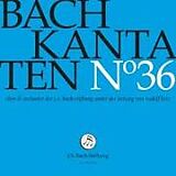 Rudolf J.S.Bach-Stiftung/Lutz CD Kantaten No°36