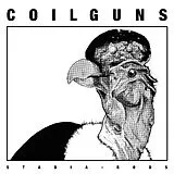 Coilguns Vinyl Stadia Rods