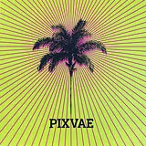 Pixvae Vinyl Pixvae