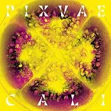 Pixvae Vinyl cali