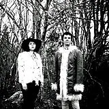 The Green Flamingos Vinyl In The Witching Hour