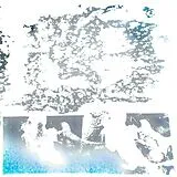 Bad Salmon Vinyl Spacecape Plan (transparent Blue)