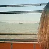 Them Fleurs Maxi Single (analog) Dunes