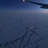 Walter Frosch Vinyl Star 10110