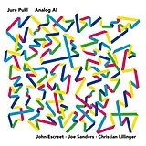 Jure Pukl Vinyl Analog Ai