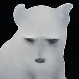L Osmose Vinyl First Dog