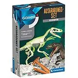 Ausgrabungs-Set Velociraptor (Experimentierkasten) Spiel