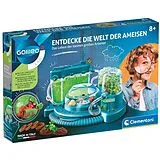 Entdecke die Welt der Ameisen DE Spiel