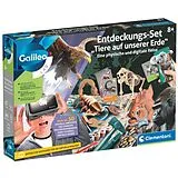 Entdeckungs-Set ''Tiere auf unserer Erde'' Spiel