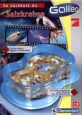 So züchtest du Salzkrebse (Experimentierkasten) Spiel