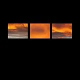Stefano Pilia Vinyl The Suncrows Fall And Tree