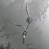 Gaia Banfi CD La Maccaia