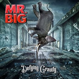 Mr. Big Vinyl Defying Gravity