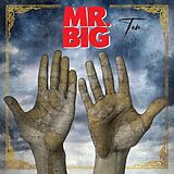 Mr. Big CD Ten
