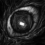 Carpe Noctem Vinyl Vitrun