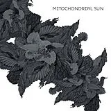Mitochondrial Sun LP (analog) Mitochondrial Sun
