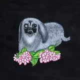 Guadalupe Plata Vinyl Guadalupe Plata 2017