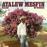Ayalew Mesfin Vinyl Hasabe - My Worries