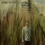 Blendreed Vinyl Tales Of Tides