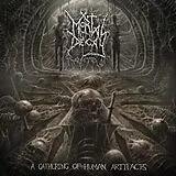 Mortal Decay LP (analog) A Gathering Of Human Artifacts
