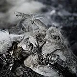 Aphonic Threnody Vinyl WHEN DEATH COMES