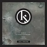 Kill Shelter Single (analog) In Decay