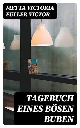 E-Book (epub) Tagebuch eines bösen Buben von Metta Victoria Fuller Victor
